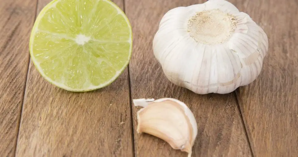 Knoblauch, Zwiebel und Petersilie