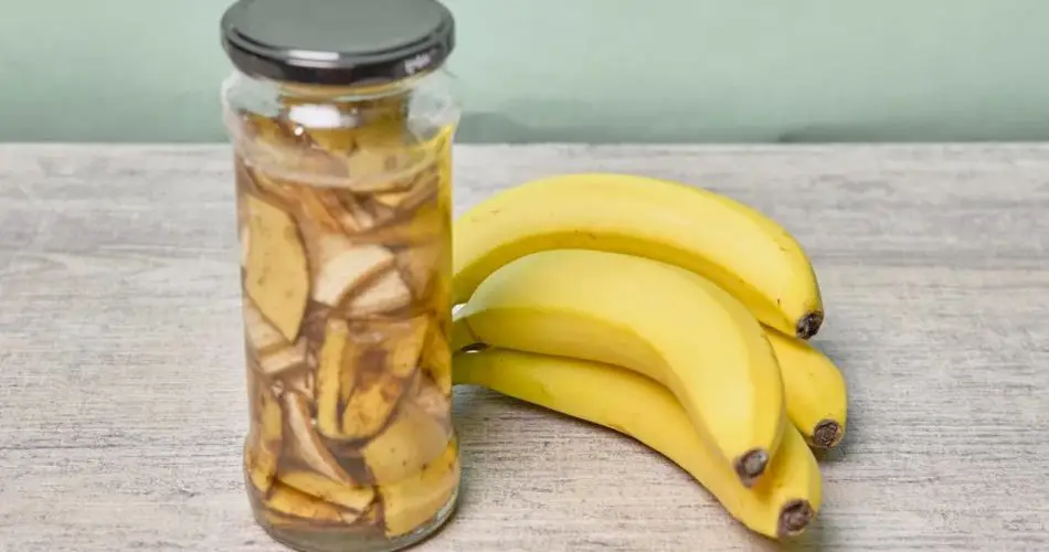 Werfen Sie Bananenschalen nicht weg: Weichen Sie sie in Essig ein und Sie werden die Ergebnisse sehen