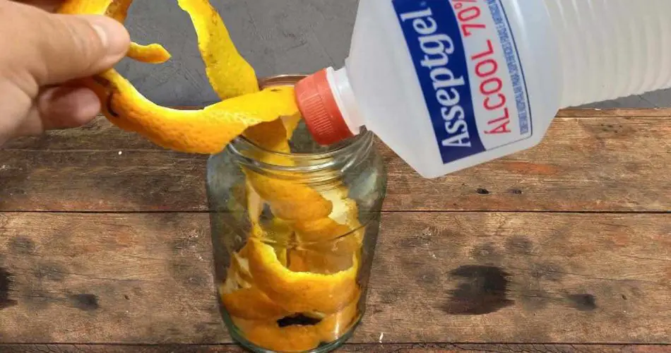 Orangenschalen, wenn man sie einmal in Alkohol einlegt, bleibt es immer so