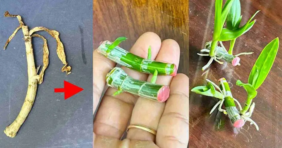 Diese 22 Fotos beweisen, dass sich hinter jeder Frau eine Heldin verbirgt